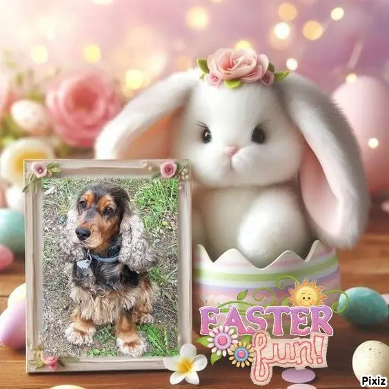 Condolence image of Frohe Ostern 