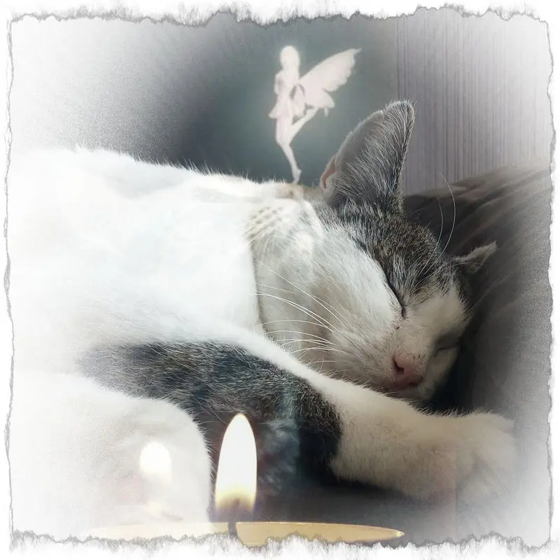 Andachtsbild von Susanne