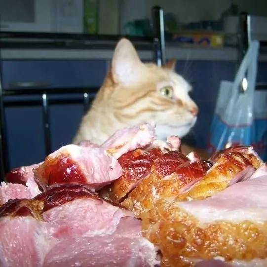 Image from Minou