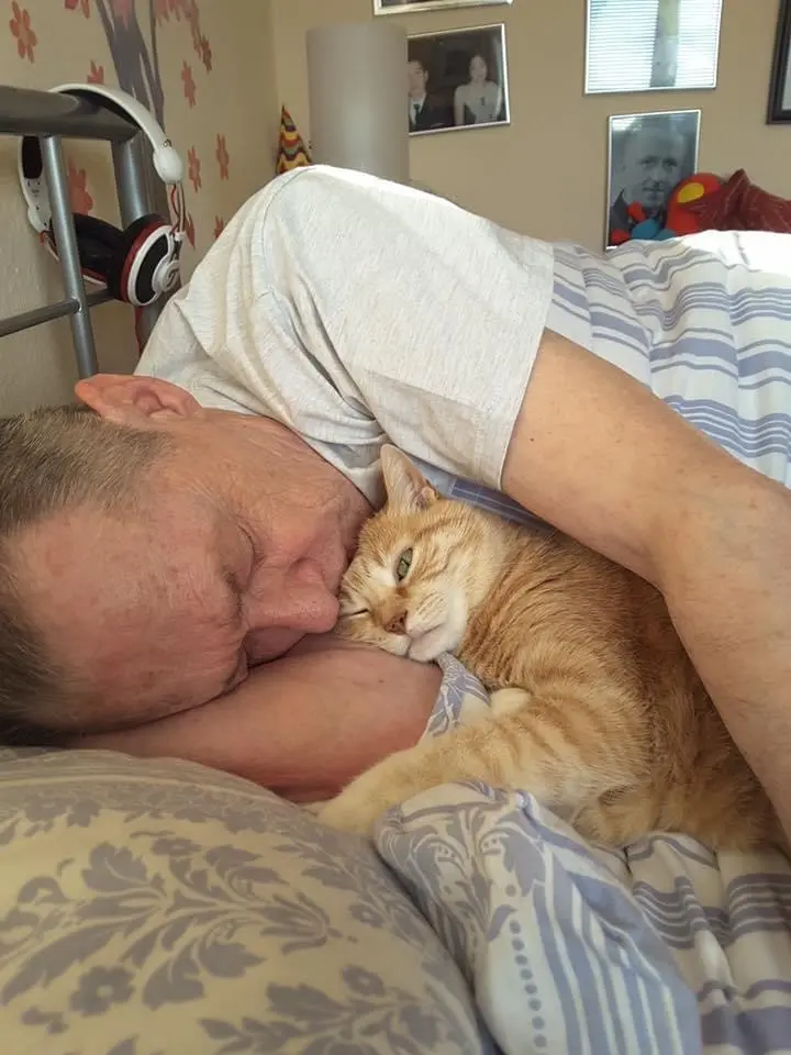 Image from Minou