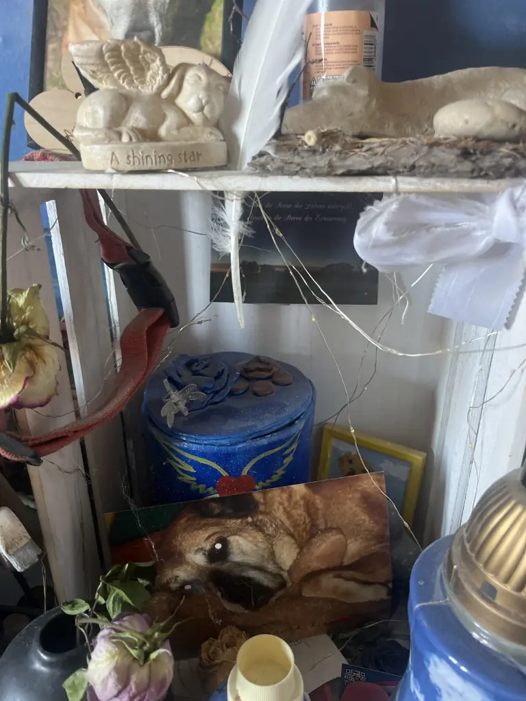 Image from Annabelle