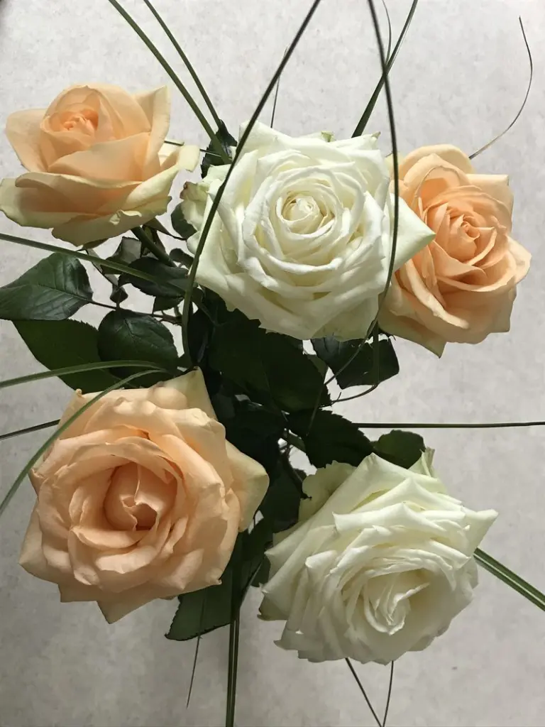 Condolence image of Silvana