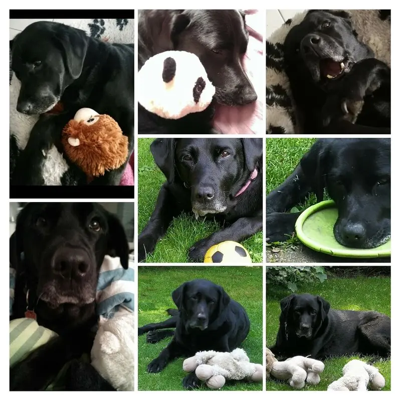 Andachtsbild von Kerstin mit Emma im Herzen ❤