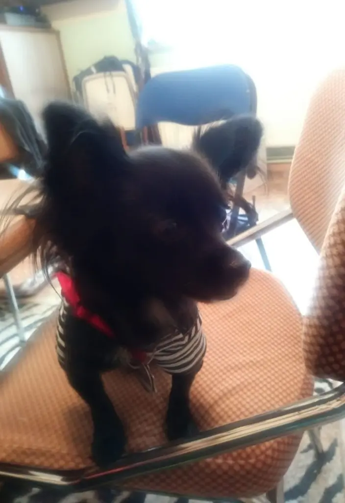 Andachtsbild von Thomas 