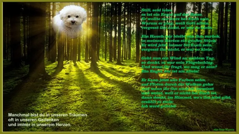 Andachtsbild von Katrin und Katzi im ❤️