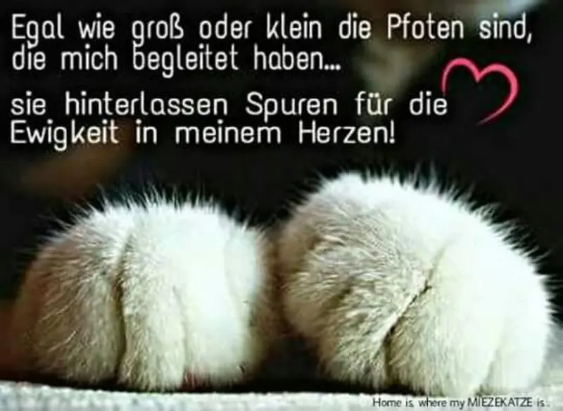 Andachtsbild von Katrin und Katzi im ❤️