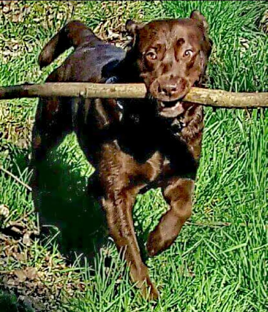 Andachtsbild von Bianka