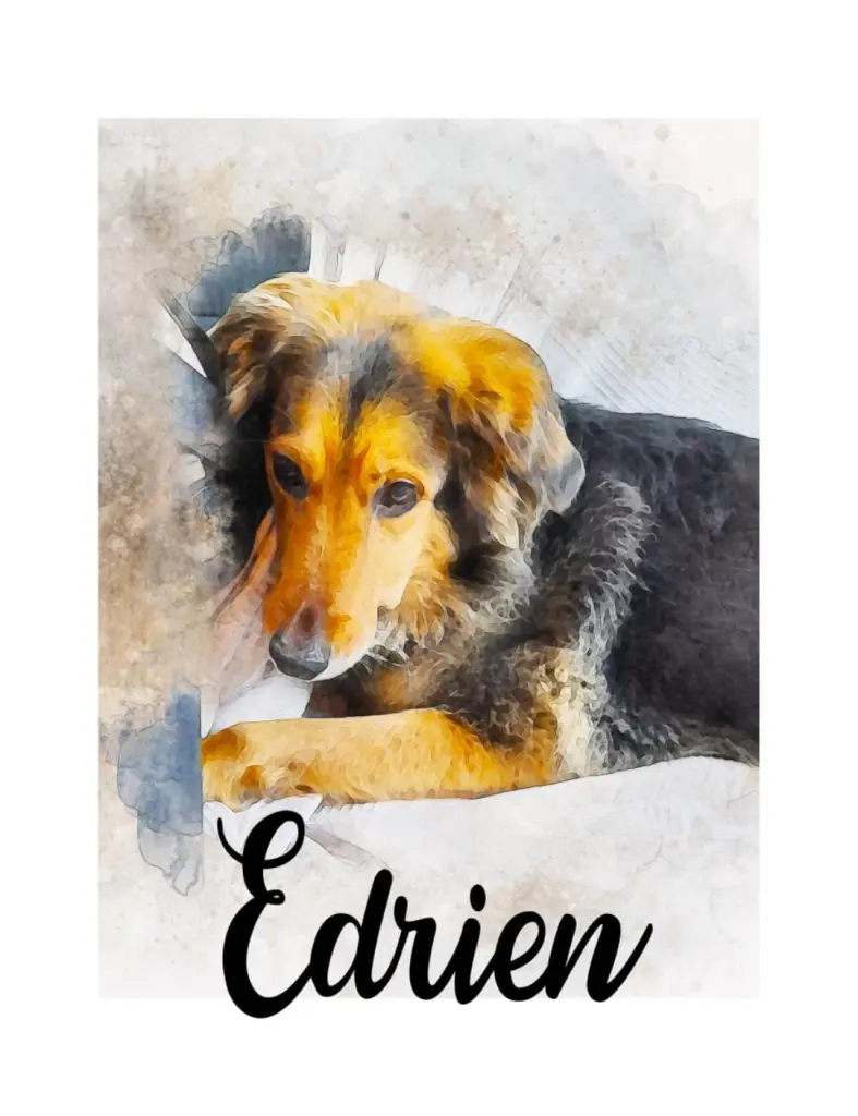 Image from Edrien