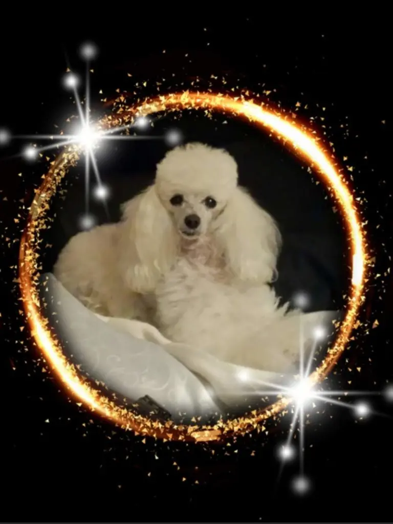 Condolence image of Manuela