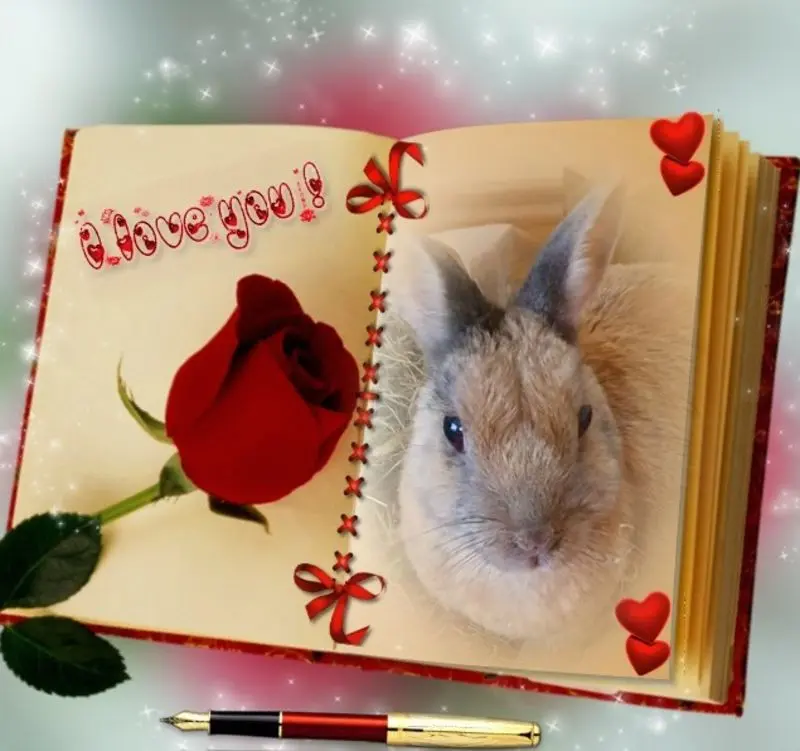 Condolence image of ❤️❤️❤️❤️❤️❤️❤️❤️❤️❤️❤️❤️❤️❤️