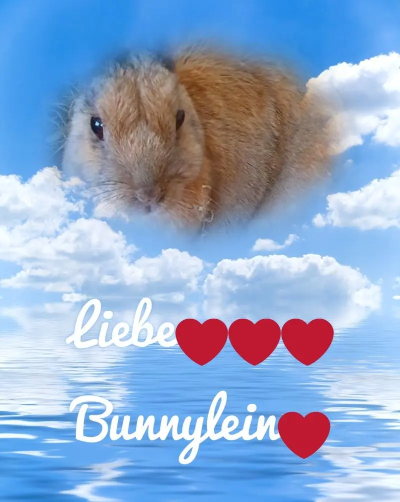 Condolence image of ❤️❤️❤️❤️❤️❤️❤️❤️❤️❤️❤️❤️❤️❤️