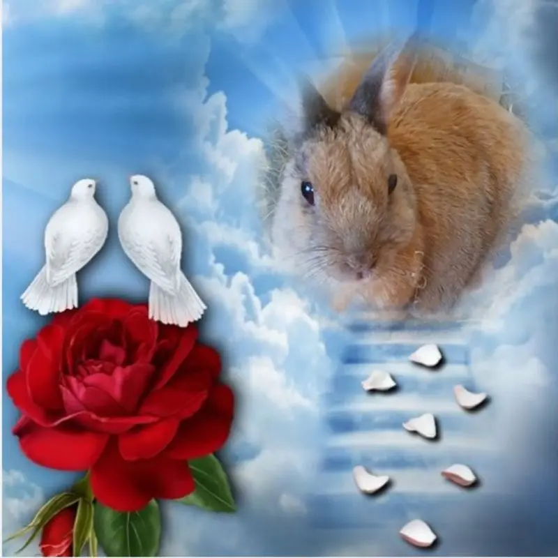 Condolence image of ❤️❤️❤️❤️❤️❤️❤️❤️❤️❤️❤️❤️❤️❤️