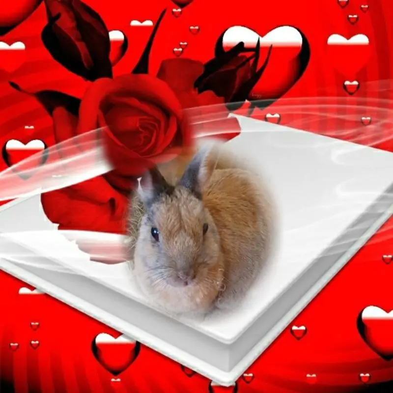 Condolence image of ❤️❤️❤️❤️❤️❤️❤️❤️❤️❤️❤️❤️❤️❤️