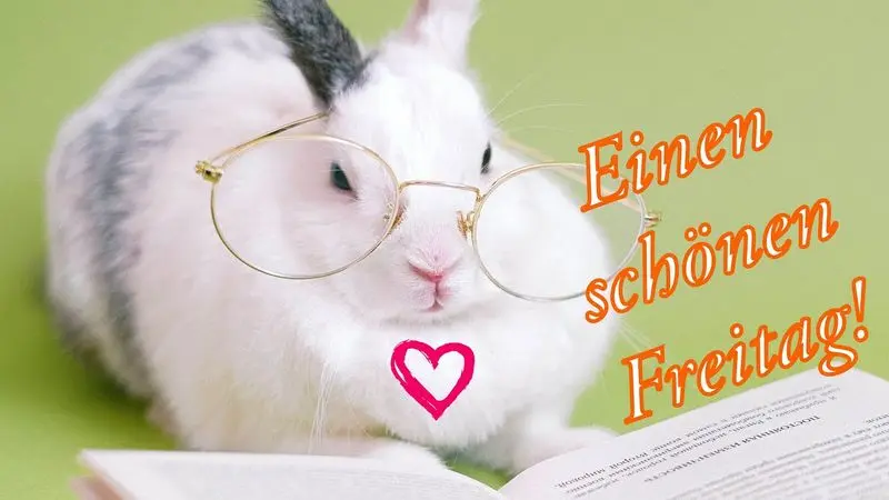 Condolence image of Tanja mit Timmy im Herzen