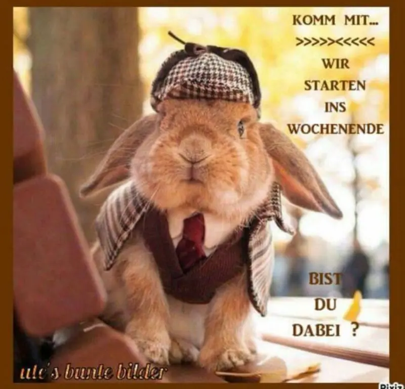 Condolence image of Für Bunny und Mama Patricia ❤️