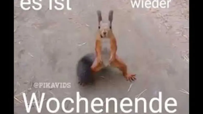Condolence image of Tanja mit Timmy im Herzen