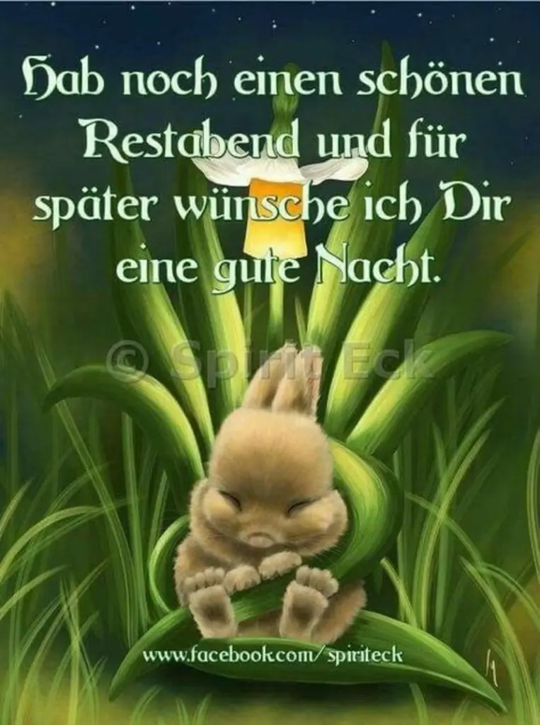 Condolence image of Tanja mit Timmy im Herzen