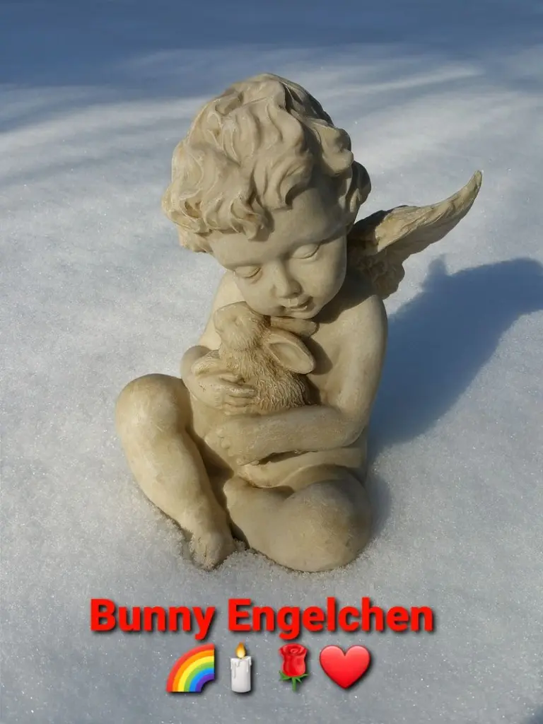 Condolence image of Tanja mit Timmy im Herzen