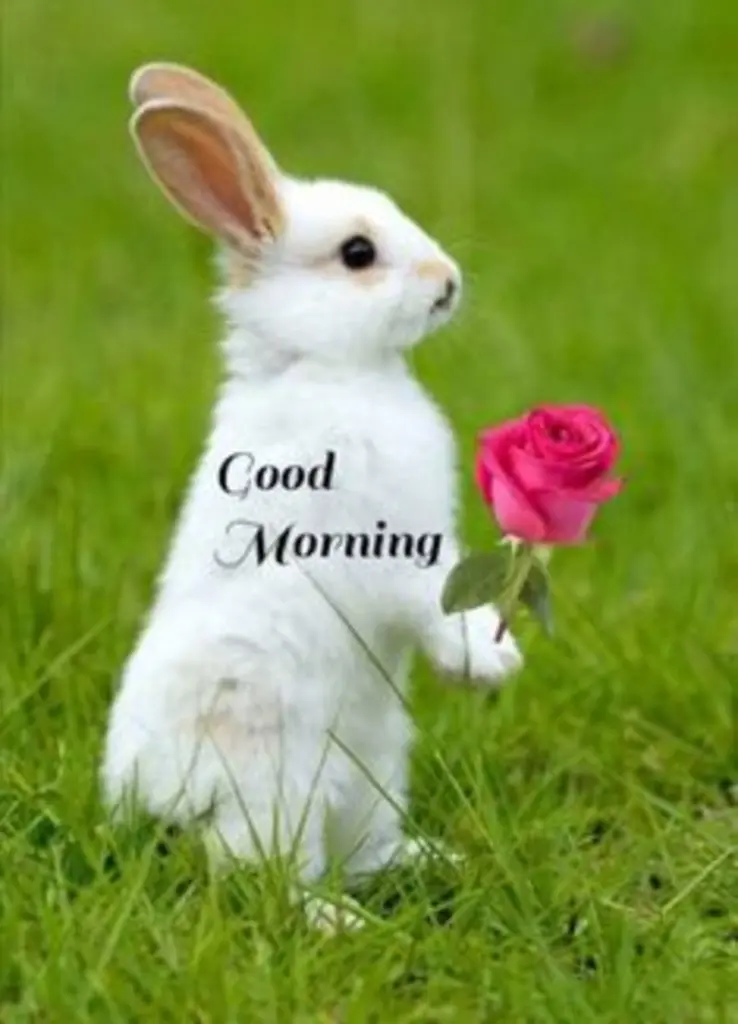Condolence image of Post von Timmy und Tanja an Bunny und Mama Patricia