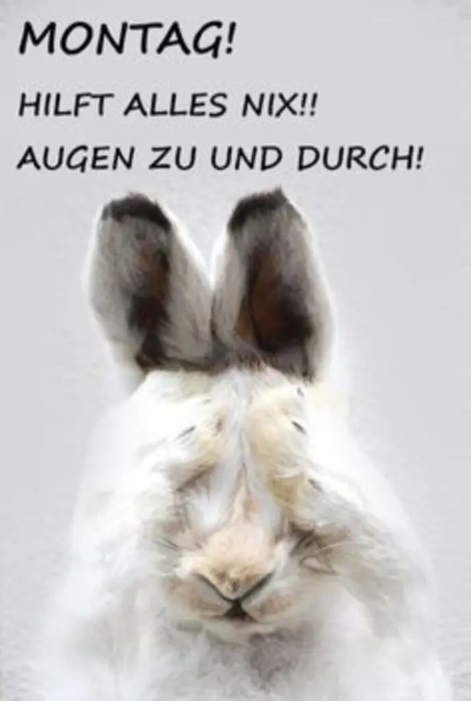 Condolence image of Tanja mit Timmy im Herzen