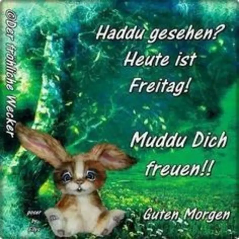Condolence image of Für die süße Bunny und Mama Patricia ♥️