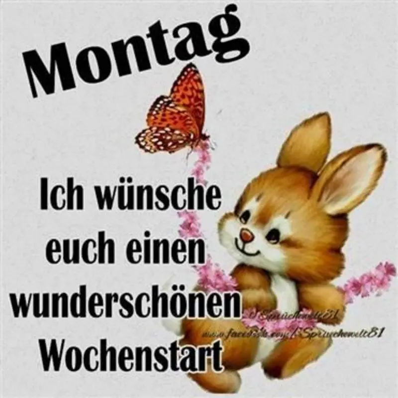 Condolence image of Tanja mit Timmy im Herzen