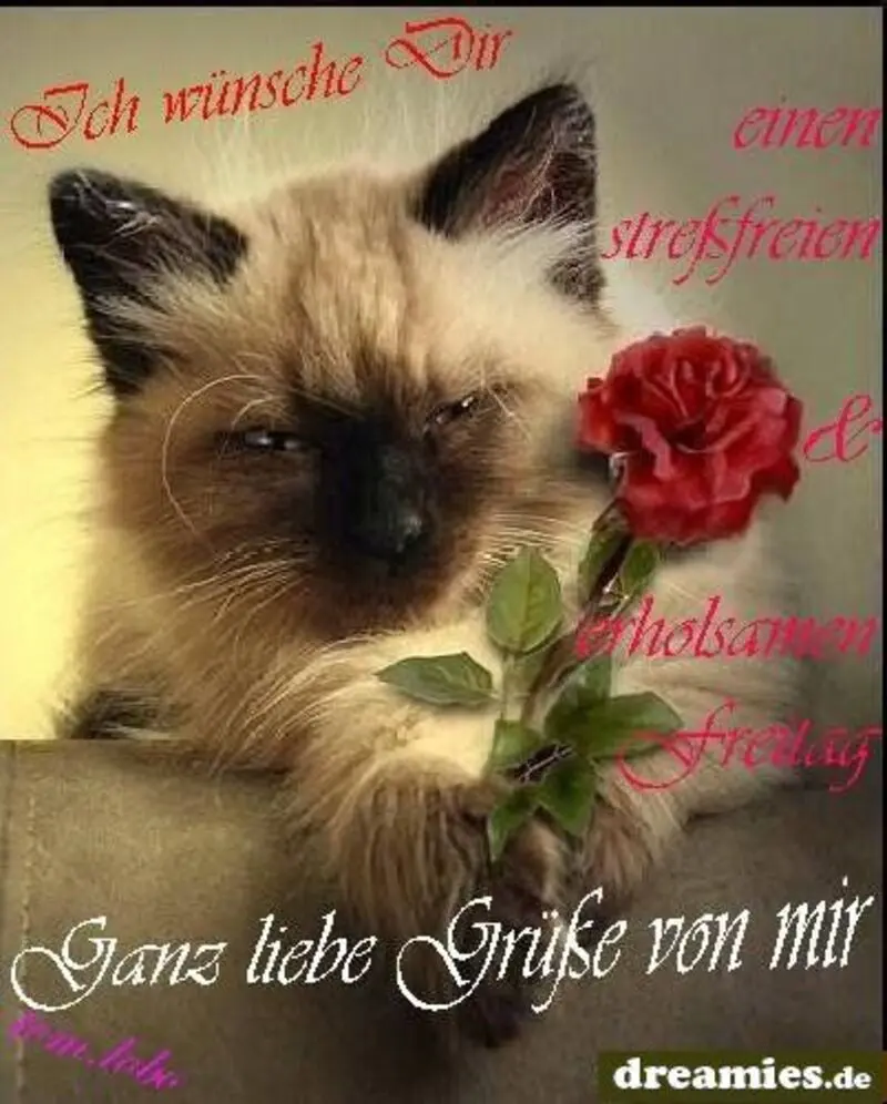 Condolence image of Für Bunny und Mama Patricia ❤️