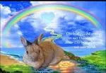 Condolence image of Tanja mit Timmy im Herzen