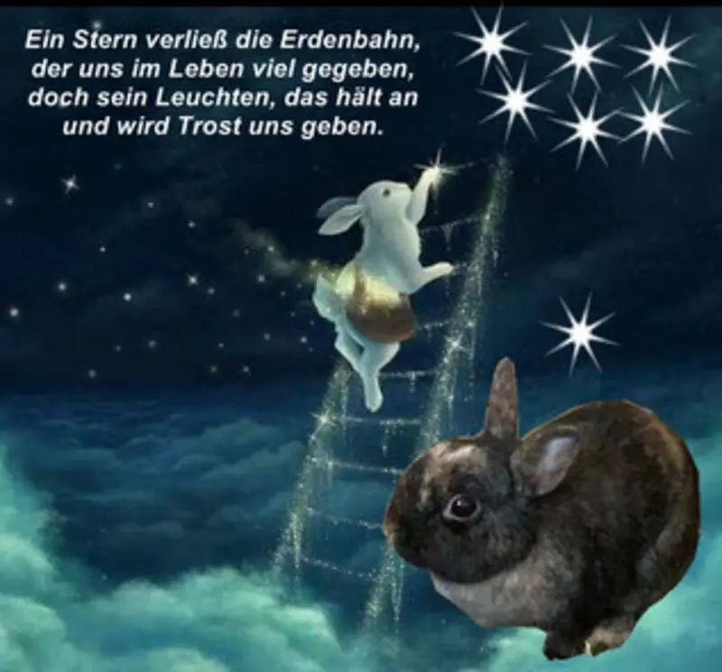 Condolence image of Gabi mit Max
