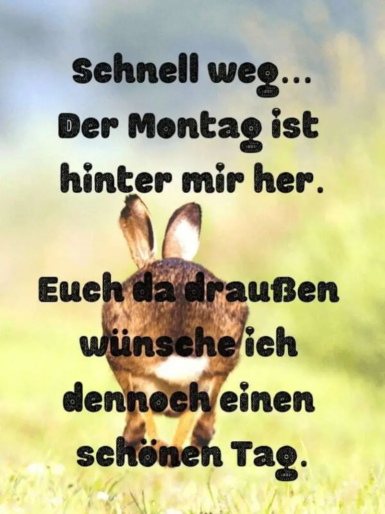 Condolence image of Tanja mit Timmy im Herzen