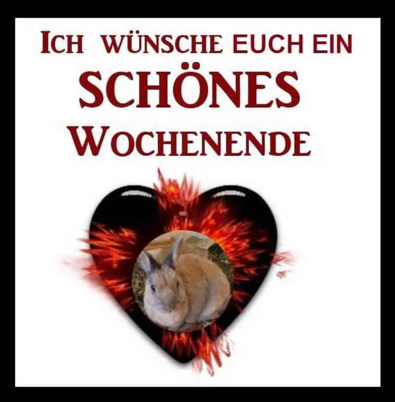 Condolence image of Post von Bunny ❤