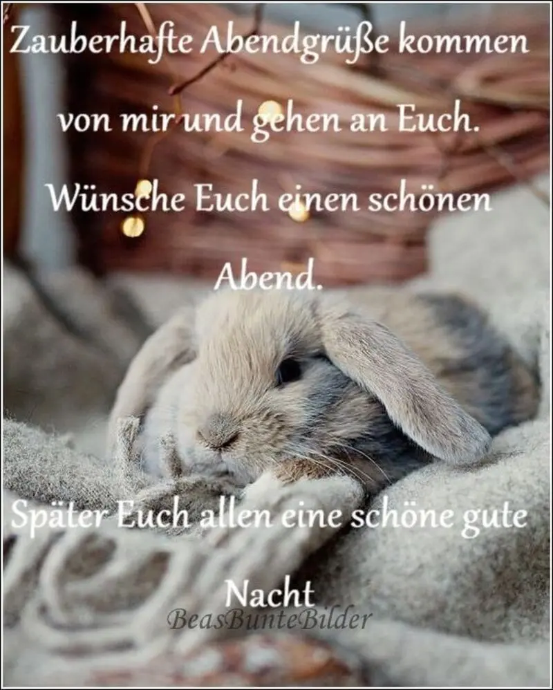 Condolence image of Tanja mit Timmy im Herzen