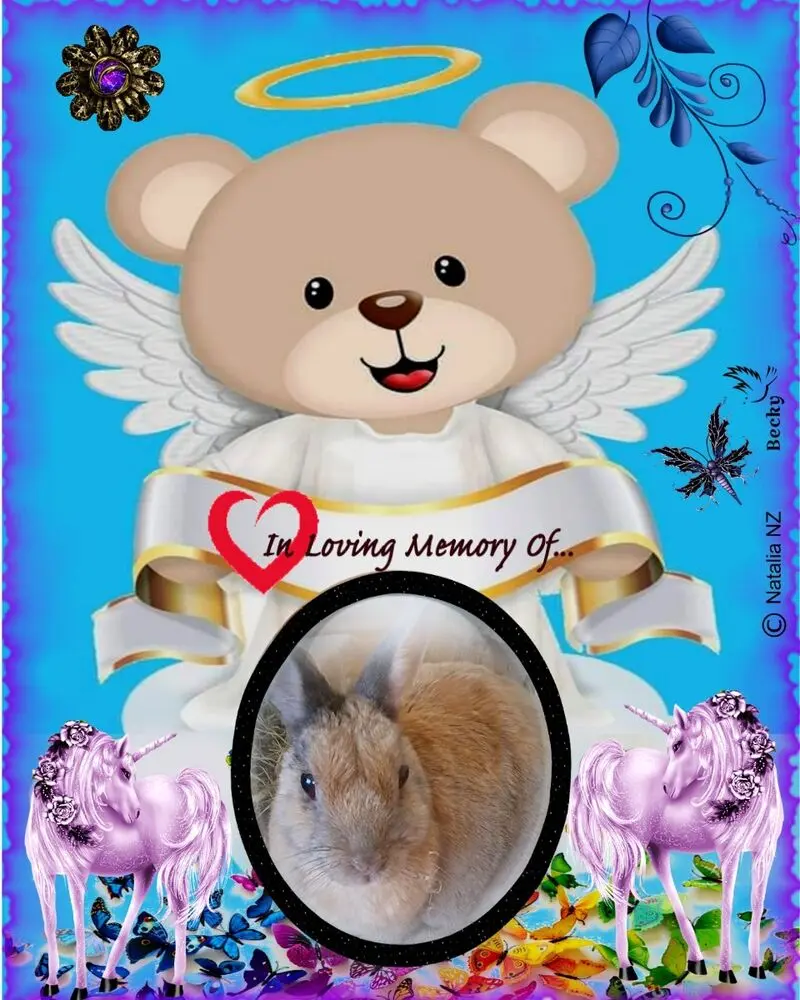 Condolence image of ❤️❤️❤️❤️❤️❤️❤️❤️❤️❤️❤️
