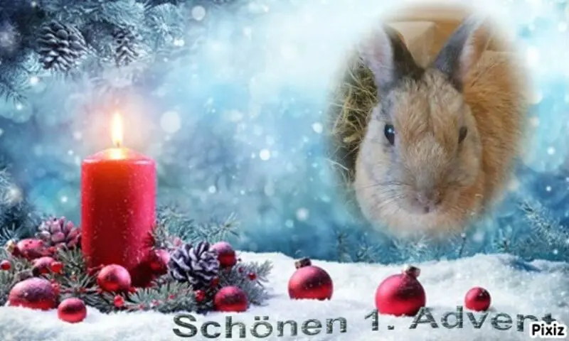 Condolence image of Tanja mit Timmy im Herzen