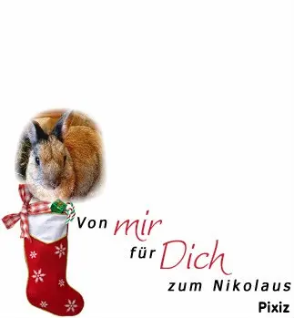 Condolence image of Tanja mit Timmy im Herzen