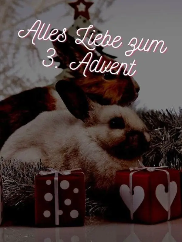 Condolence image of Katrin mit Katzi im ❤️