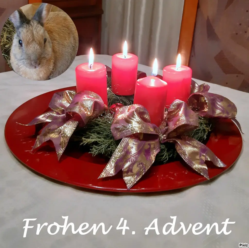 Condolence image of Tanja mit Timmy im Herzen