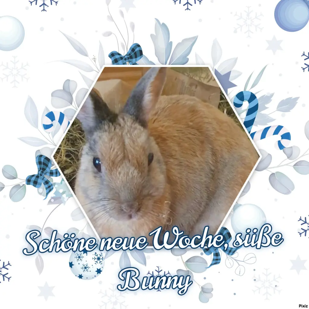 Condolence image of Tanja mit Timmy im Herzen