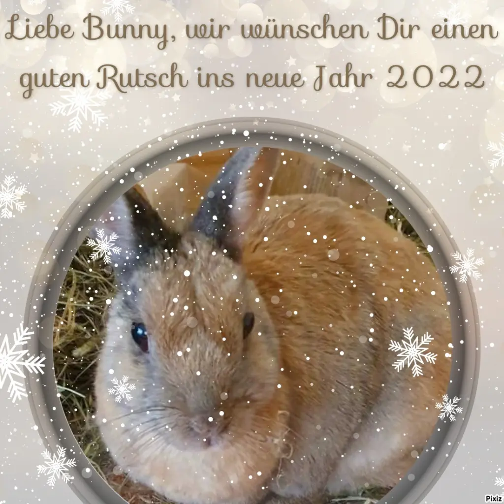 Condolence image of Tanja mit Timmy im Herzen