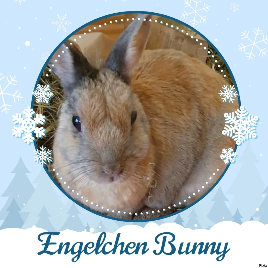 Condolence image of Tanja mit Timmy im Herzen