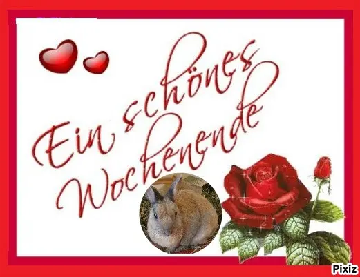 Condolence image of Tanja mit Timmy im Herzen