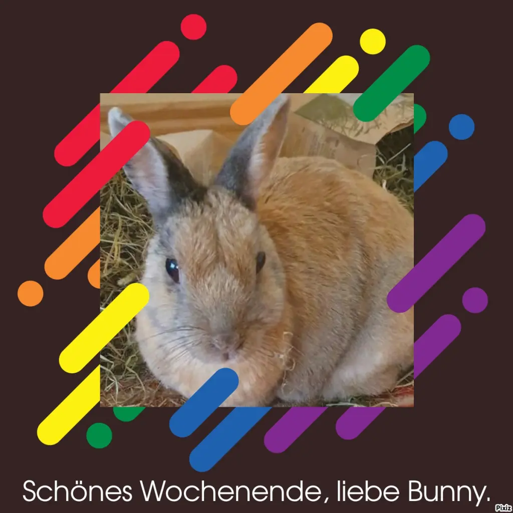 Condolence image of Tanja mit Timmy im Herzen