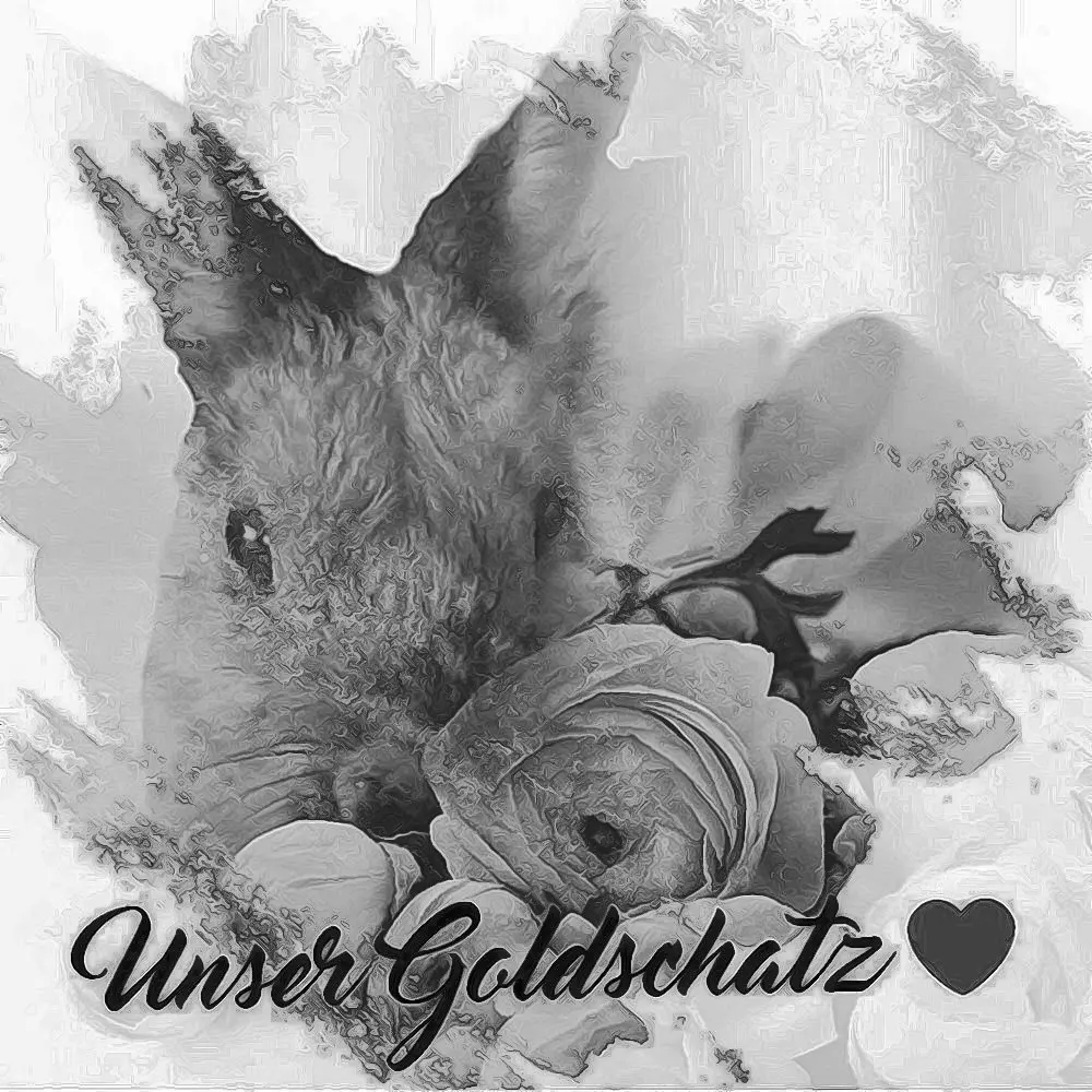Condolence image of ❤