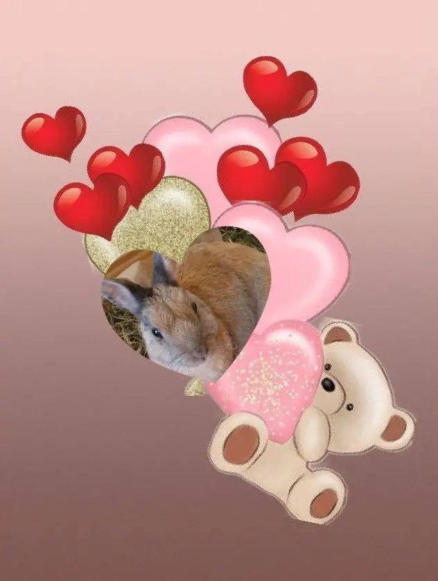 Condolence image of Andrea mit Minki im ♥️
