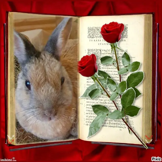 Condolence image of Tanja mit Timmy im Herzen 