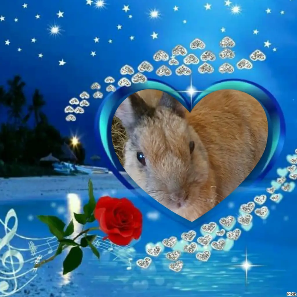 Condolence image of Tanja mit Timmy im Herzen 