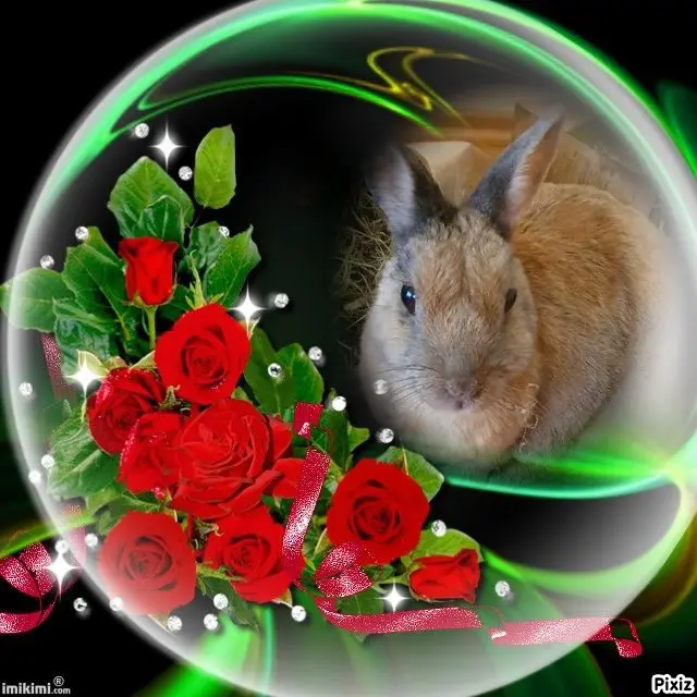 Condolence image of Tanja mit Timmy im Herzen
