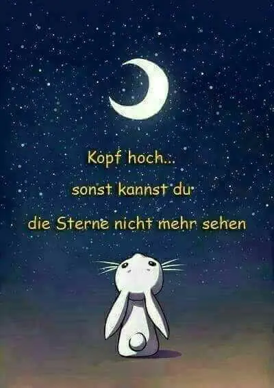 Condolence image of Katrin mit Katzi im ❤️