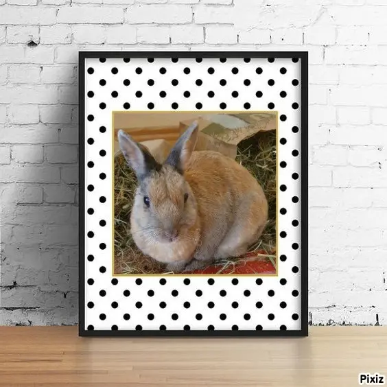 Condolence image of Tanja mit Timmy im Herzen
