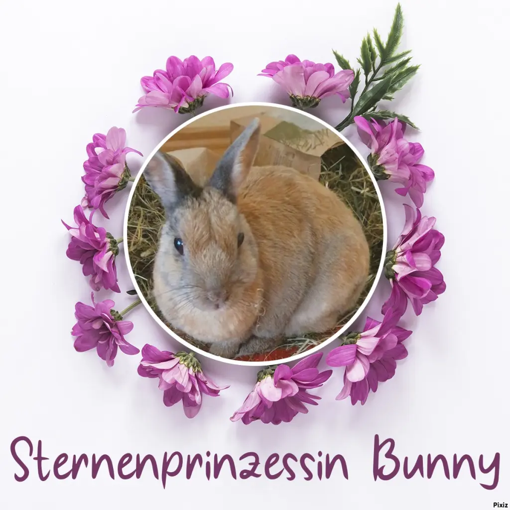 Condolence image of Tanja mit Timmy im Herzen
